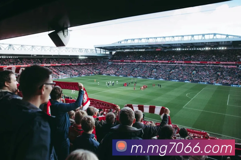 MG娱乐平台官网品牌故事