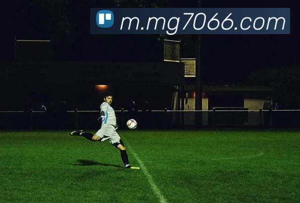 MG娱乐平台官网服务体系